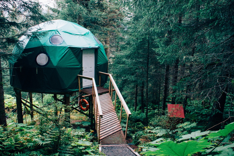 near, house, green, 5K, land, alone, wood - material, water, dock, bridge, yurt, railing, wood, architecture, solitude, growth, woodland, quiet, day, wooden