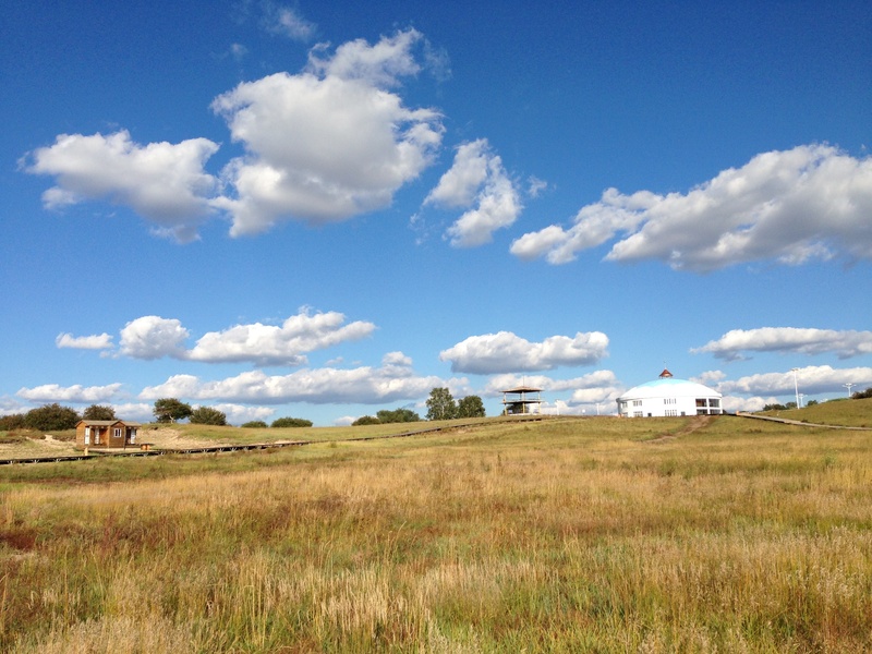 nature, sky, no people, beauty in nature, growth, landscape, plant, field, day, tree, non-urban scene, the scenery, environment, blue, tranquil scene, cloud - sky