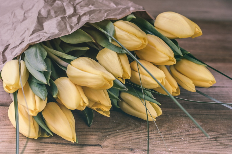 2K, tulip, inflorescence, indoors, yellow, close-up, fragility, still life, no people, leaves, vulnerability, flower head, table, high angle view, flowering plant