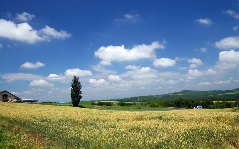 3d and abstract, landscape, 1080P, hokkaido, lscape, hq