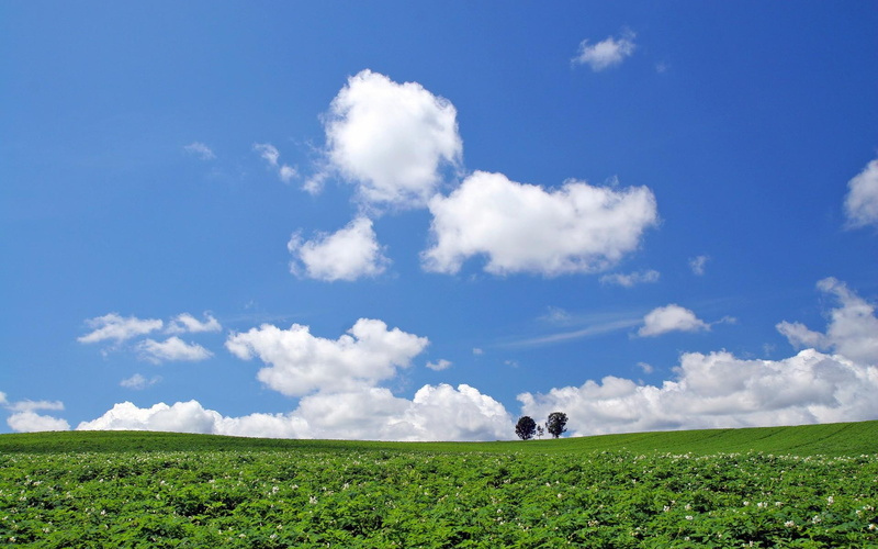 3d and abstract, hokkaido, landscape, 1080P, hq, lscape