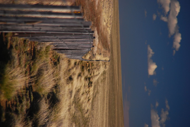 Patagonia, Magical, rural Scene, cloud, field, World, landscape, hay, Ruta 40, Argentina, line, travel, nature, South America, fence, Pampa, sky, no People