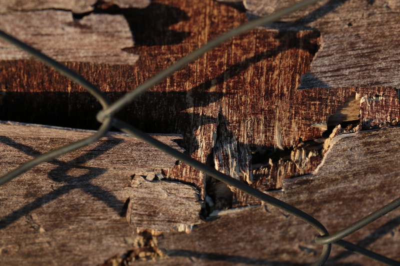 wood, frost, snow, industry, boat, textured, tree log, transportation system, day, stone, river, watercraft, nature, dry, frozen, old, tree, winter, close-up