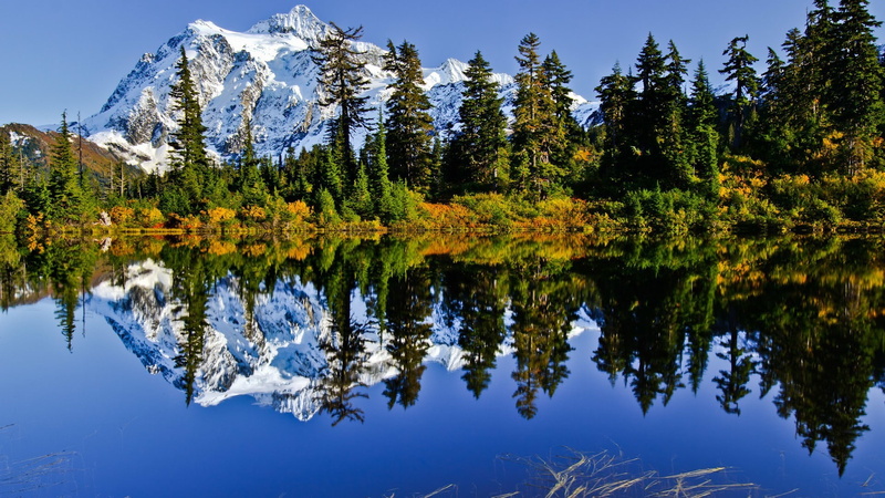 nature, plant, reflection, snow, waterfront, 1080P, no people, lake, reflection lake, water, mountains, landscape, tranquil scene, non-urban scene, outdoors