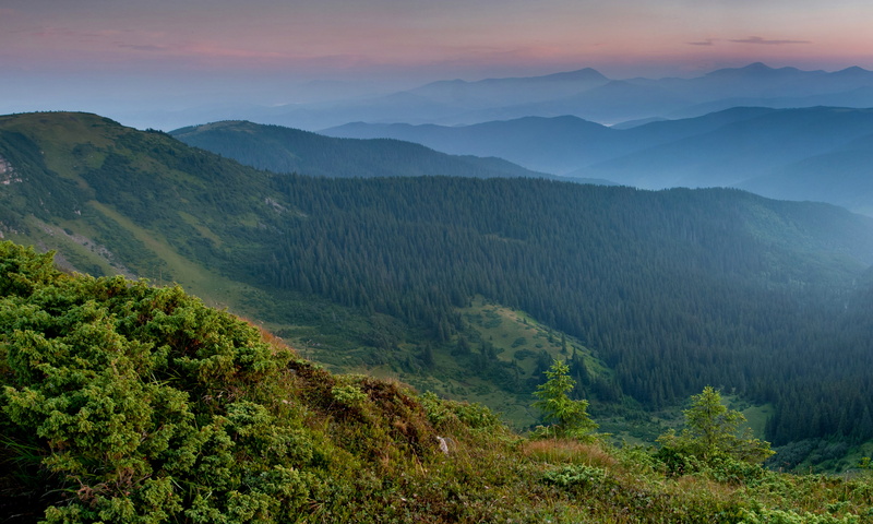 no people, remote, tranquility, tree, non-urban scene, green color, tranquil scene, forest, land, mountain range, Ukraine, landscape, panorama, scenics - nature