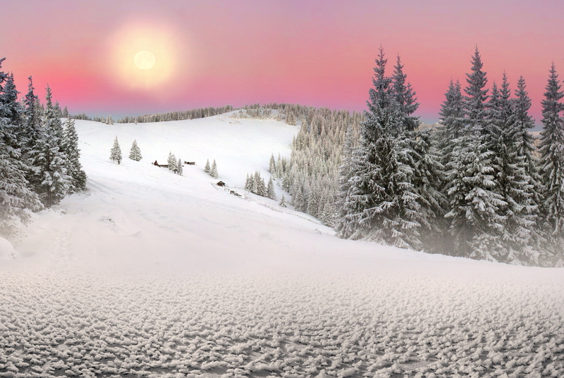 Snow, Transcarpathia, The sun, 4K, Carpathians, Ukraine, Nature, Spruce, Winter