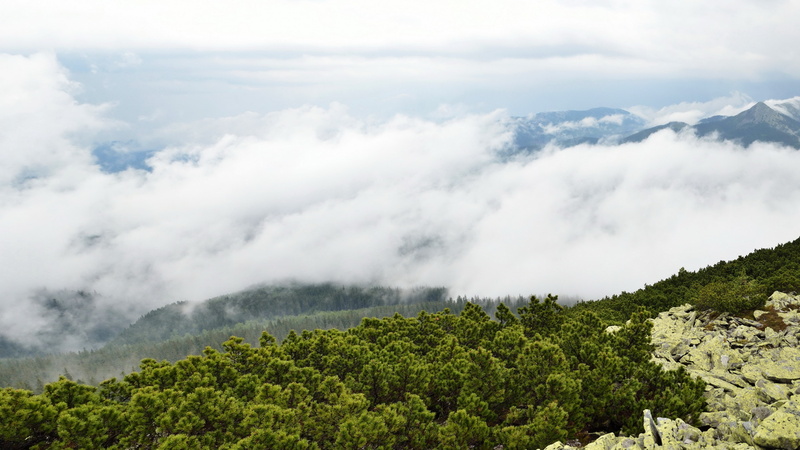 5k, 4K, Transcarpathia, rocks, bushes, mountains, clouds, Ukraine