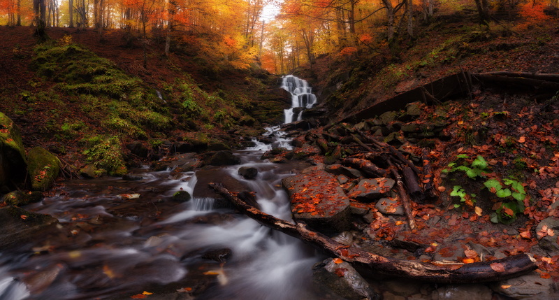 Ukraine, 8K, leaves, autumn, Transcarpathia, Carpathians, mountain Shypit waterfall, trees