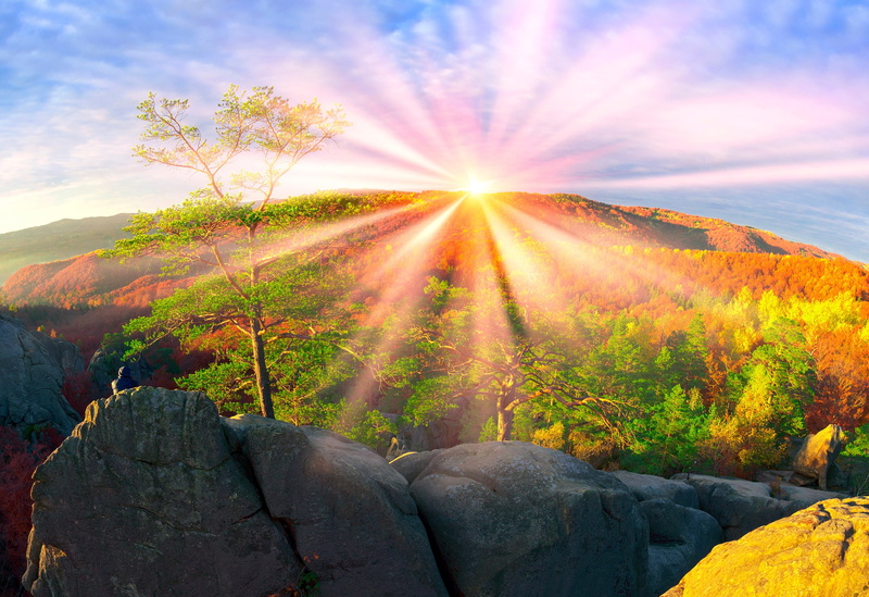 mountains, forest, the sky, stones, 2K, Ukraine, the sun, rocks, Transcarpathia, trees, autumn, height, rays, beauty