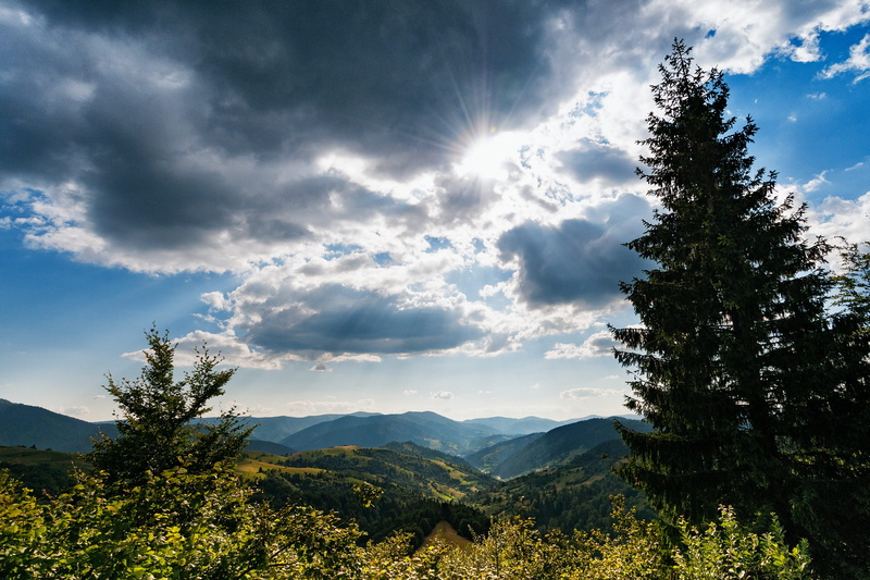 growth, tranquility, landscapes, environment, 2K, Ukraine, nature, outdoors, transcarpathia, day, idyllic, scenics, road, beauty in nature, Sunset, non-urban scene