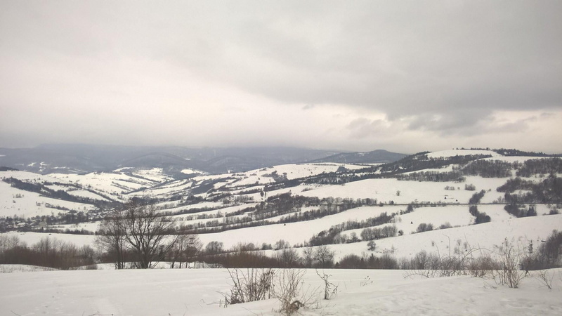 mountain range, tranquility, ukraine, no people, snowcapped mountain, transcarpathia, 1080P, beauty in nature, pine tree, nature, non-urban scene, coniferous tree