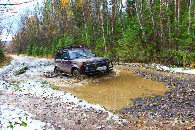 off-road, tree, dirt, auto, forest, no people, dirt road, day, autocross, transport, land, adrenaline, 4x4, rallye, action, speed, plant, mud, wheel, ride