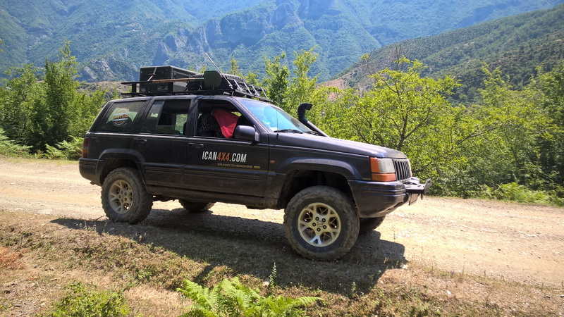sunny, sunlight, environment, mode of transportation, tree, wilderness, land vehicle, off-road driving, adventure, travel, day, car, nature, plant, all-terrain vehicle