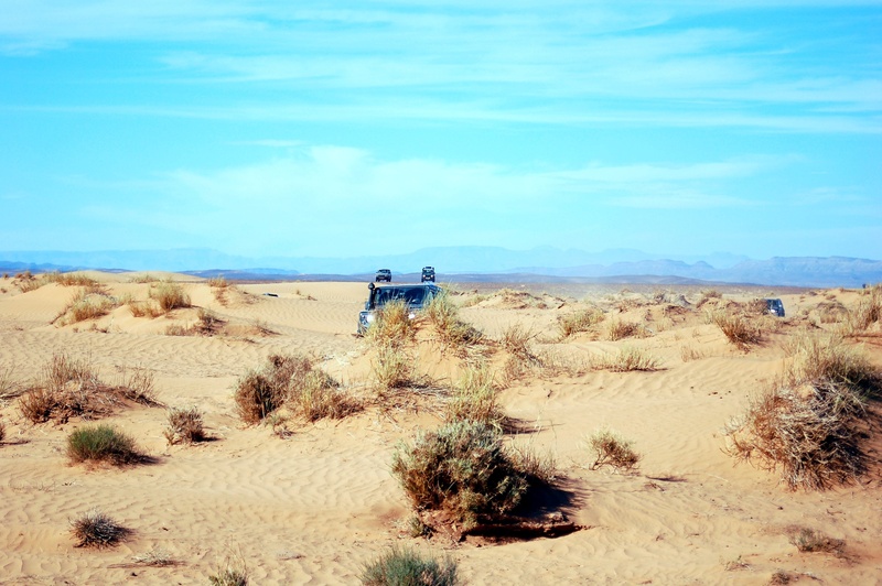 beauty in nature, plant, land, sky, desert, landscape, vehicle, day, peaceful, outdoors, blue, climate, tranquil scene, nature, sand, environment, africa