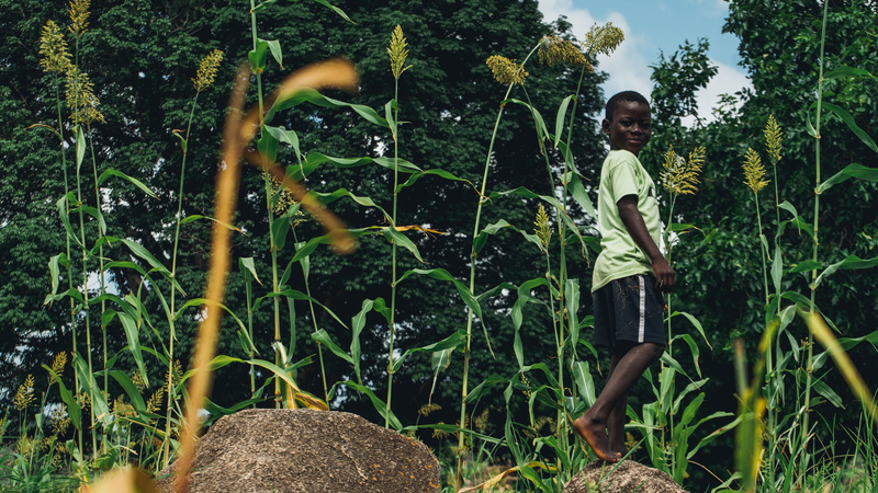 shorts, casual clothing, nature, plant, ghana, africa, field, upper east, child, boys, men, outdoors, tree, landscape, leisure activity, african, barefoot