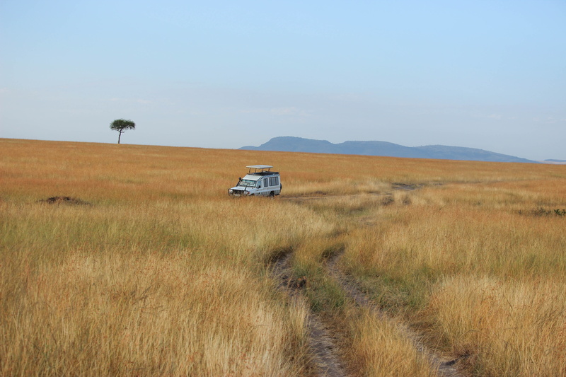 wilderness, kenya, 5K, tranquil scene, plant, car, environment, trail, field, non-urban scene, tree, no people, climate, africa, mountain, land vehicle