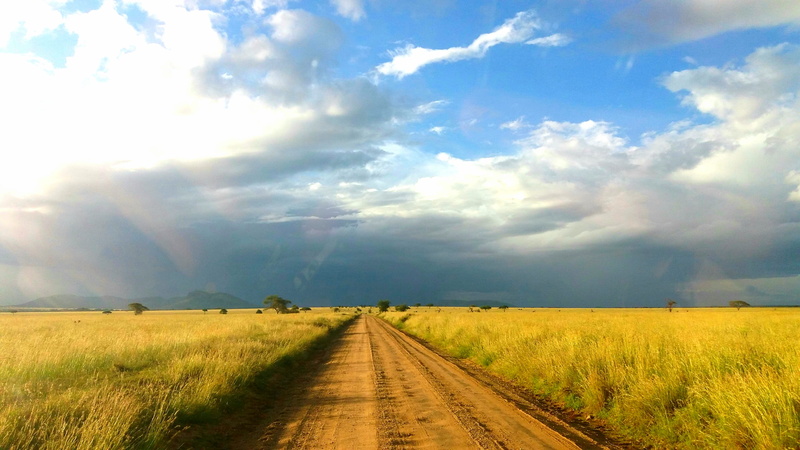 4K, environment, Africa Tour, no people, Savannah, diminishing perspective, vanishing point, nature, beauty in nature, Open Road, scenics - nature, outdoors