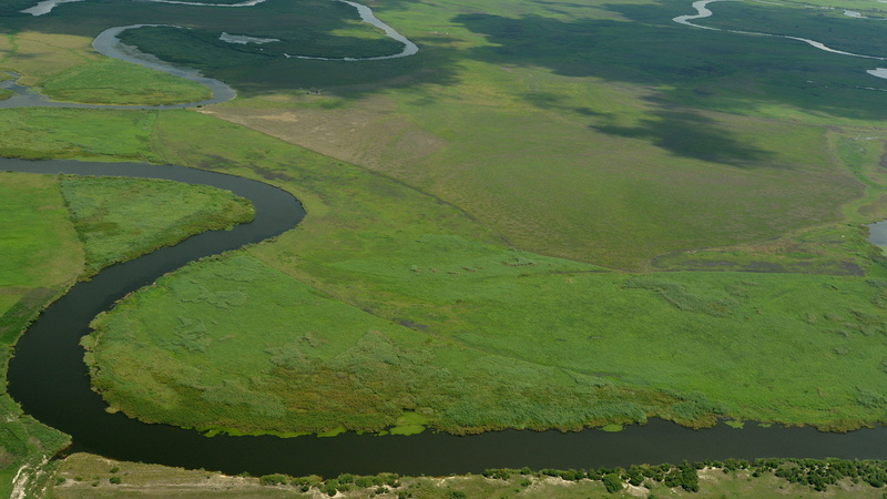 Okavango Delta, tranquil scene, rural scene, green color, nature, scenics - nature, lake, agriculture, outdoors, plant, Botswana, grass, aerial view, environment