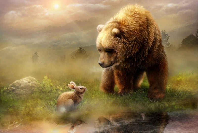 cute, brown Bear, brown, wilderness Area, reflection, water, animals, wild Animals, outdoors, animal wildlife, animal themes, two animals, fog, group of animals