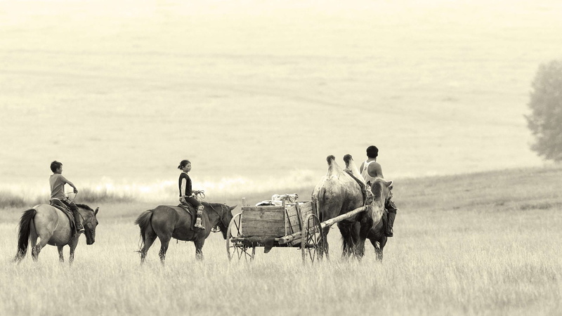 outdoors, steppe, domestic, mongolia, 2K, land, nature, day, men, horse, real people, horses, livestock, domestic animals, herbivorous, group of animals