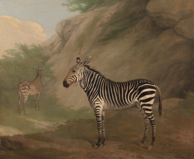 striped, national Park, dust, safari, beside, plant, animals In The Wild, standing, sky, full length, animal themes, clouds, vertebrate, trees, plain, group of animals