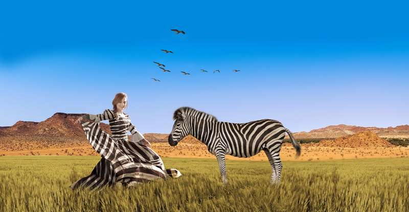 wildlife, wearing, steppe, safari Animals, wide, flock of birds, zebra, outdoors, travel destinations, landscape, africa, near, animal themes, herbivorous