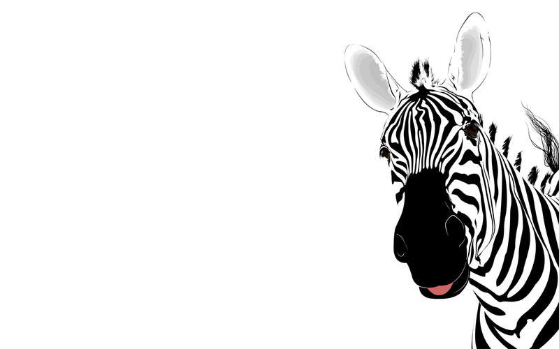 close-up, day, safari Animals, wildlife, black Color, abstraction, copy space, safari, black And White, striped, studio shot, abstract, animal, plains Zebra