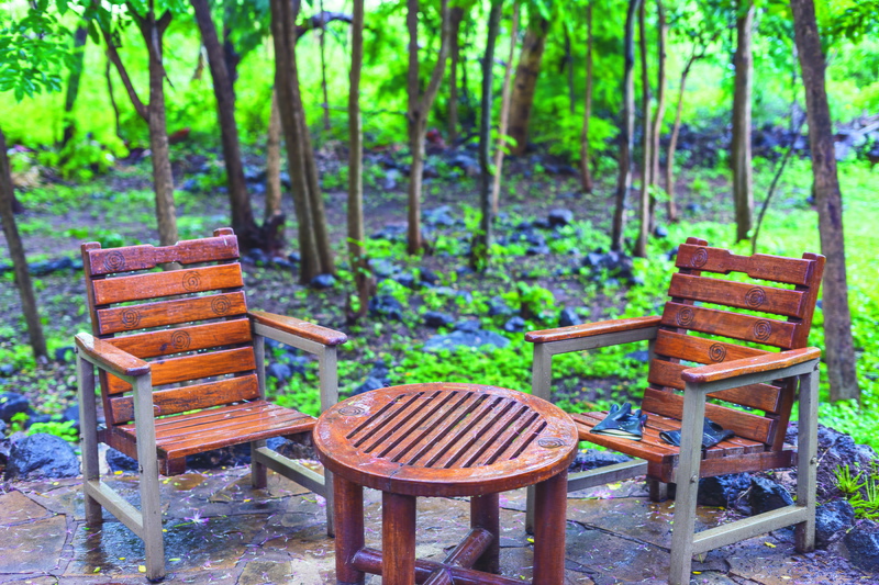 nature, land, bench, park, empty, tranquility, no people, armchair, glove, furniture, outdoor, absence, gloves, chair, relax, patio, seat, trees, relaxation