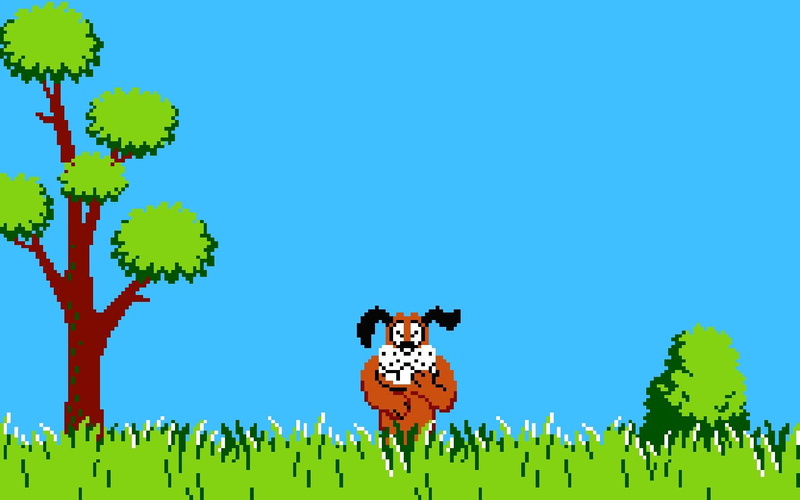 720P, Hunting, Donald Duck Hunting, Video Game