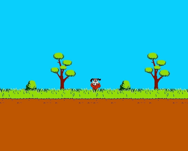 720P, Video Game, Duck Hunt