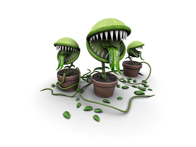 digital art, 720P, Piranha Plant, plants