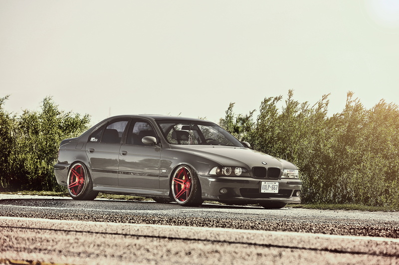 BMW, tree, the bushes, wheel, mode of transportation, transportation, day, outdoors, street, sedan, 5 Series, retro styled, nature, travel, E39, land vehicle