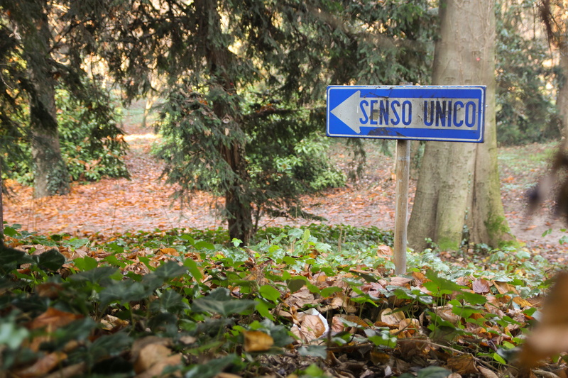 direction, indications, western script, nature, no people, 5K, communication, information sign, plant, arrow symbol, text, information, symbol, growth