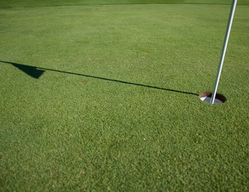 focus on shadow, nature, goal, playing field, green, green color, recreation, no people, high angle view, sport, summer, grass, flag, golf ball, leisure activity