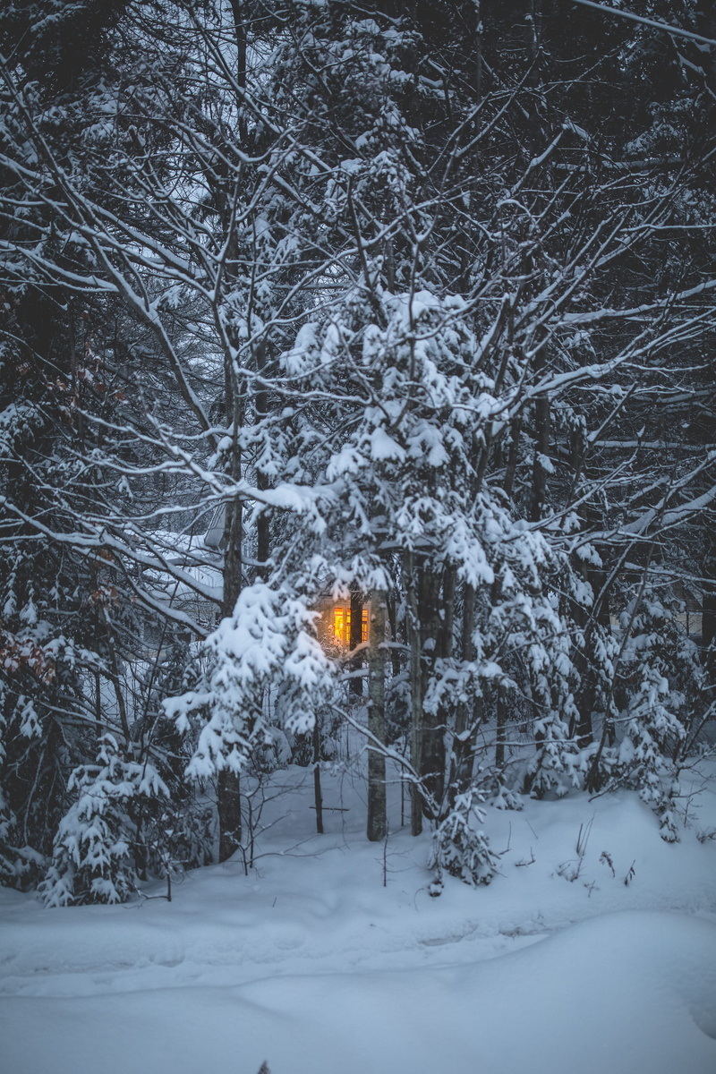 cottage, beauty in nature, outdoors, white color, cold temperature, plant, illuminated, winter, cabin, tranquil scene, cozy, warmth, blizzard, tranquility