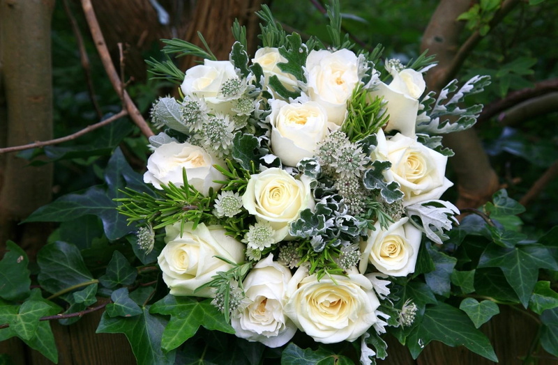 rose - Flower, no People, flowers, rose, plant, bunch of flowers, inflorescence, nature, flower, event, beauty, decoration, beauty In Nature, vulnerability