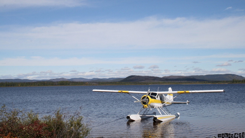 1080P, havilland, beaver, dhc 2, seaplane, canada, aircraft