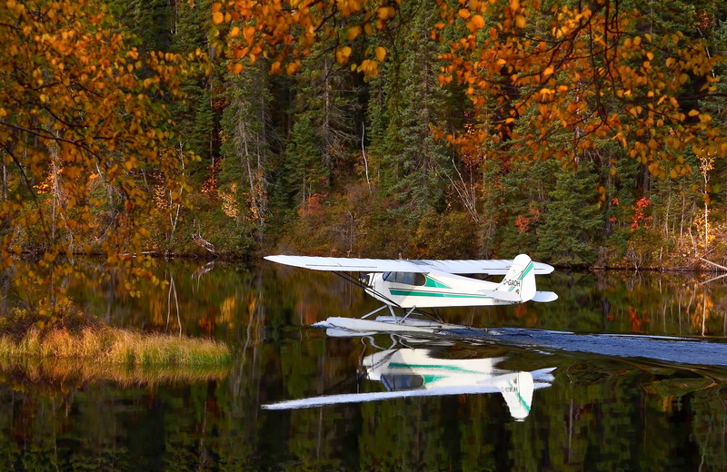 transportation, outdoors, scenics - nature, day, tranquility, growth, plane, beauty in nature, color Image, autumn, tranquil Scene, nautical vessel, plant