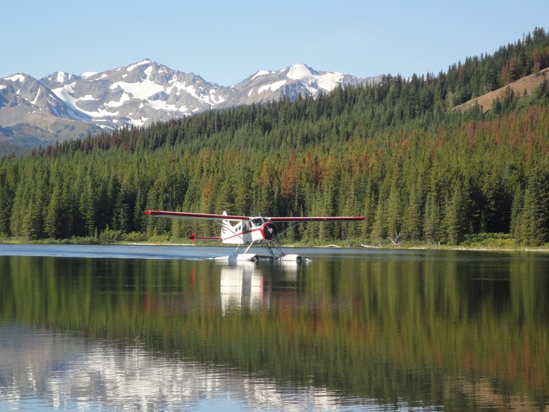 coniferous tree, no people, lake, idyllic, nautical vessel, reflection, fly, nature, forest, mountain, tree, pine tree, outdoors, canada, day, scenics - nature
