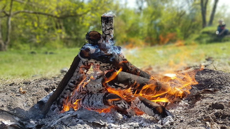 Shish Kebab, nature, tree, field, campfire, smoke - Physical Structure, fireplace, focus on foreground, woodland, wood, wood - material, land, Summer, flame
