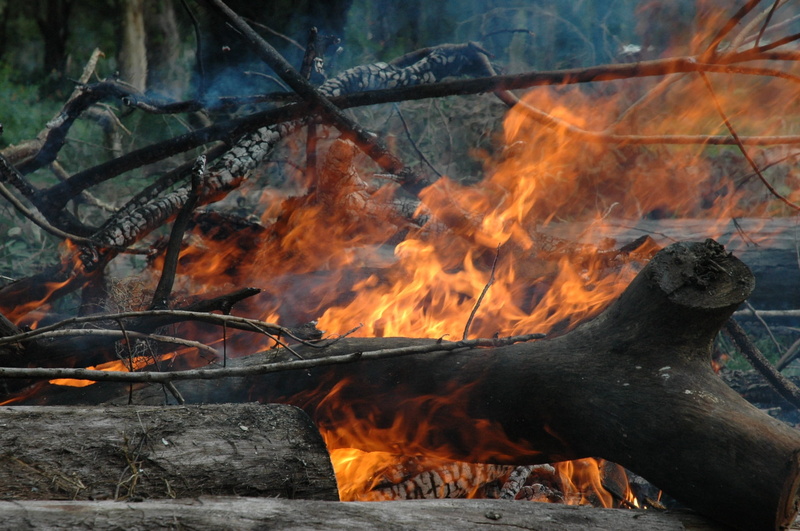 outdoors, heat, tree, day, fireplace, Flame, camp, bonfire, Camp, fire - Natural Phenomenon, burning, smoke - Physical Structure, glowing, Farm, hot, fire
