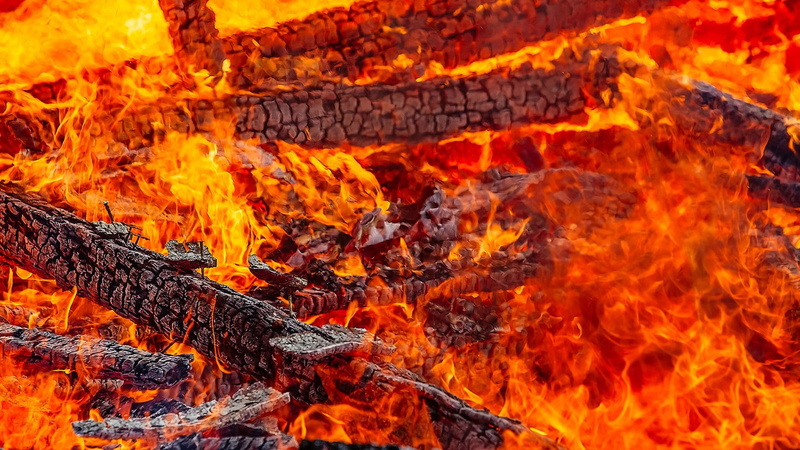 firewood, full frame, beauty in nature, burning, nature, tree, fire - natural phenomenon, outdoors, fire, log, forest, wood - material, flame, plant, close-up