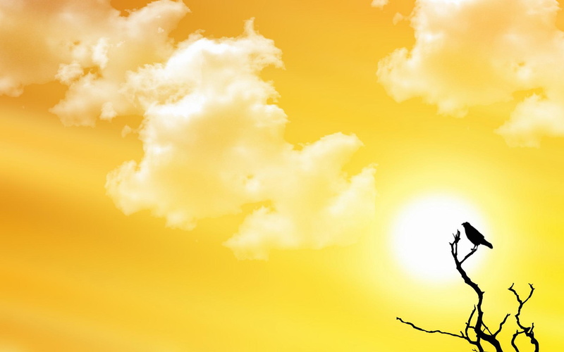 watch, bird, yellow, sunset, 3d and abstract, clouds, 1080P, branch