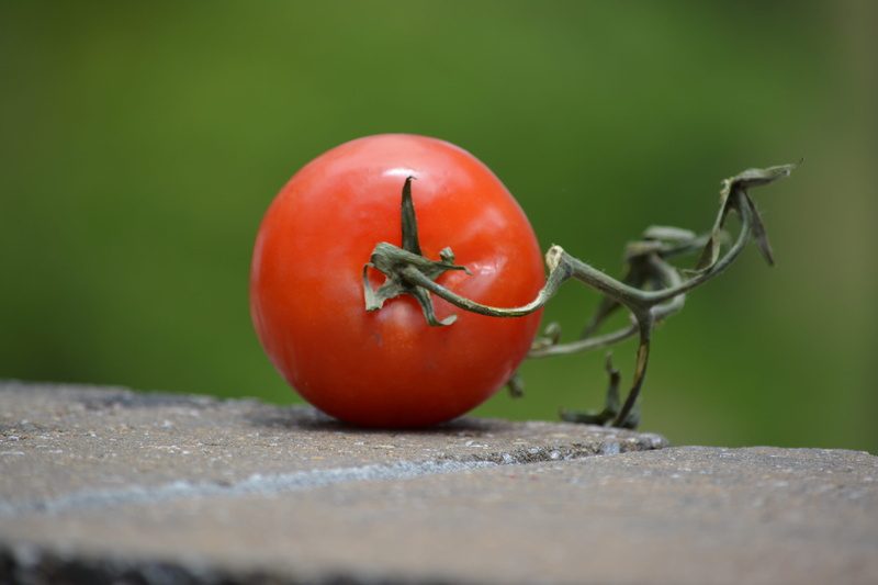 food, selective focus, wellbeing, close-up, ripe, freshness, healthy eating, table, still life, 5K, green color, day, tomato, vegetable, no people, cookout