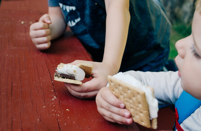 focus on foreground, temptation, bite, picnic, food and drink, human hand, midsection, child, real people, lifestyles, innocence, hand, candy, dessert