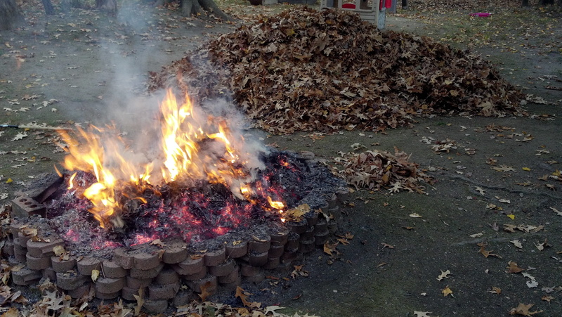 Burning Leaves, log, backyard fire pit, outdoors, fire - natural phenomenon, burning, no people, bonfire, fire, flame, warm, outdoor, campfire, high angle view