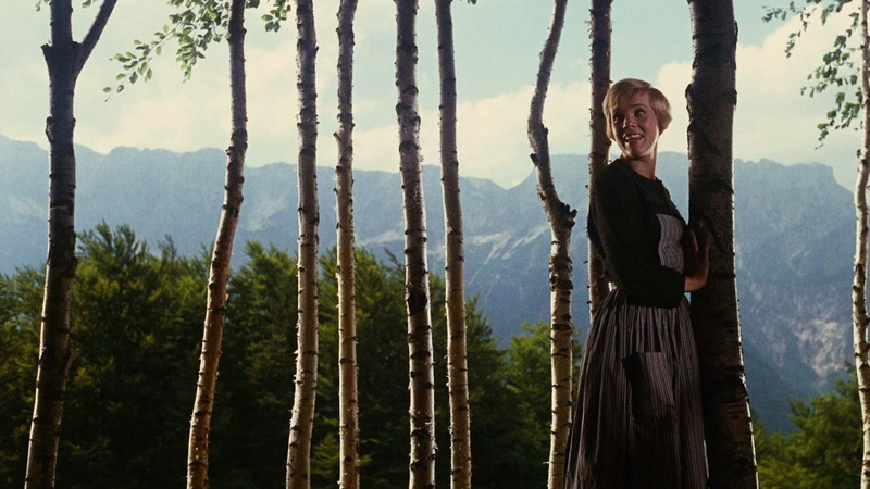 smiling, trunk, Sound of Music, land, young women, tree, standing, three quarter length, young adult, nature, leisure activity, women, one person, front view