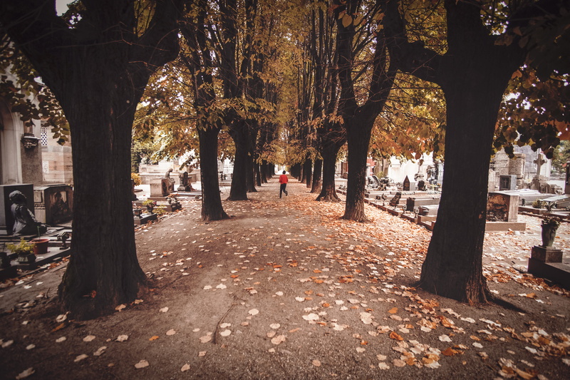 rear view, real people, outdoors, tree trunk, treelined, xt10, diminishing perspective, change, road, fujifilm, leisure activity, one person, autumn, cemetery