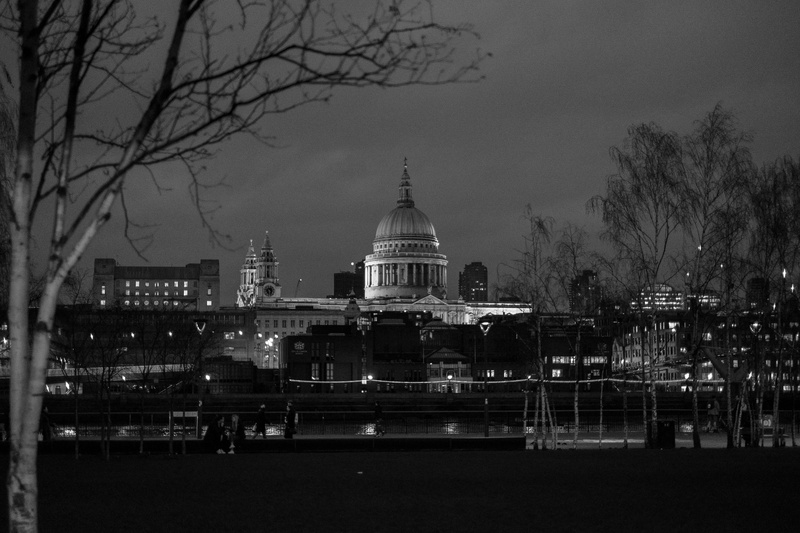 icon, saint pauls cathedral, 35mm, dome, landmark, bare tree, plant, city, monochrome, no people, black and white, dusk, illuminated, london, built structure