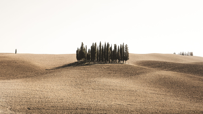 lessismore, landscape, environment, xt10, no people, tranquil scene, day, less, land, travel, surrounded, scenics - nature, minimal, pine, growth, tree